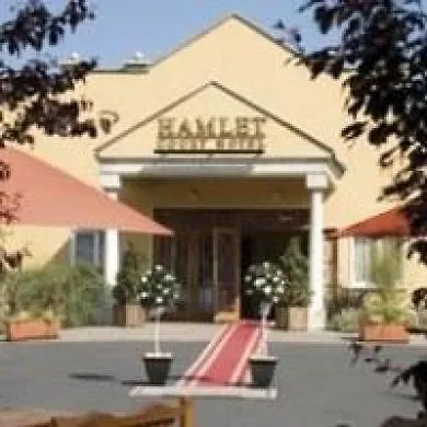 Hamlet Court فندق Johnstown Bridge