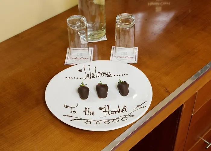 Hamlet Court מלון Johnstown Bridge